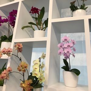 Meet your Posher, Leah